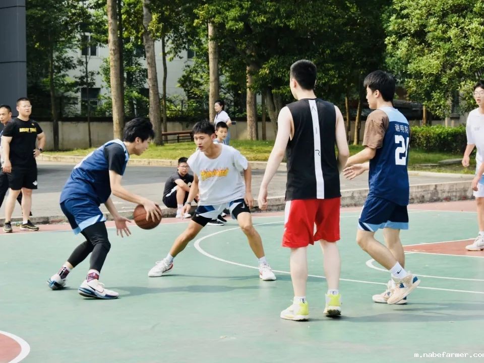 国际课程开启多元升学之路,直通世界名校!