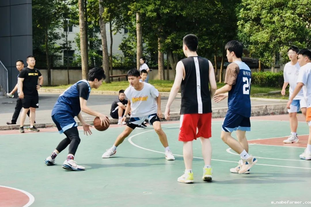 国际课程开启多元升学之路,直通世界名校!