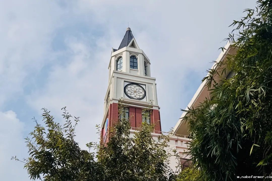 国际课程开启多元升学之路,直通世界名校!