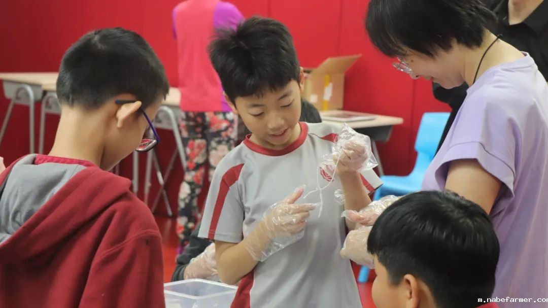 漢鼎事|粽葉飄香傳文韻,家校攜手潤童心——漢鼎書院小學部端午文化體驗活動紀實