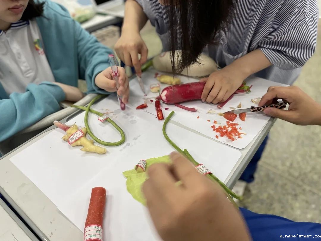 国际课程开启多元升学之路,直通世界名校!
