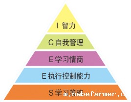 先锋少年·学能成长丨开启一场充满惊喜的自我发现之旅