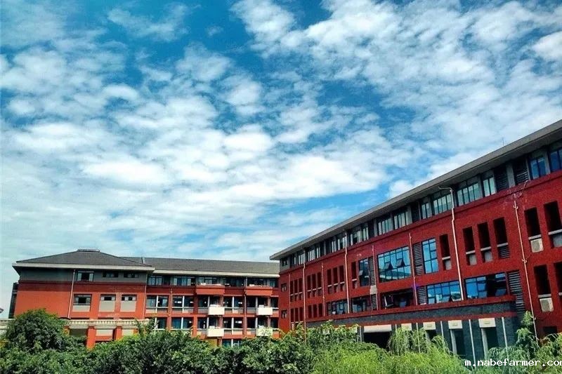 国际课程开启多元升学之路,直通世界名校!