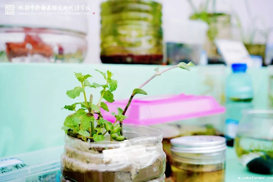 书画科技展丨翰墨绘青春,丹青颂芳华