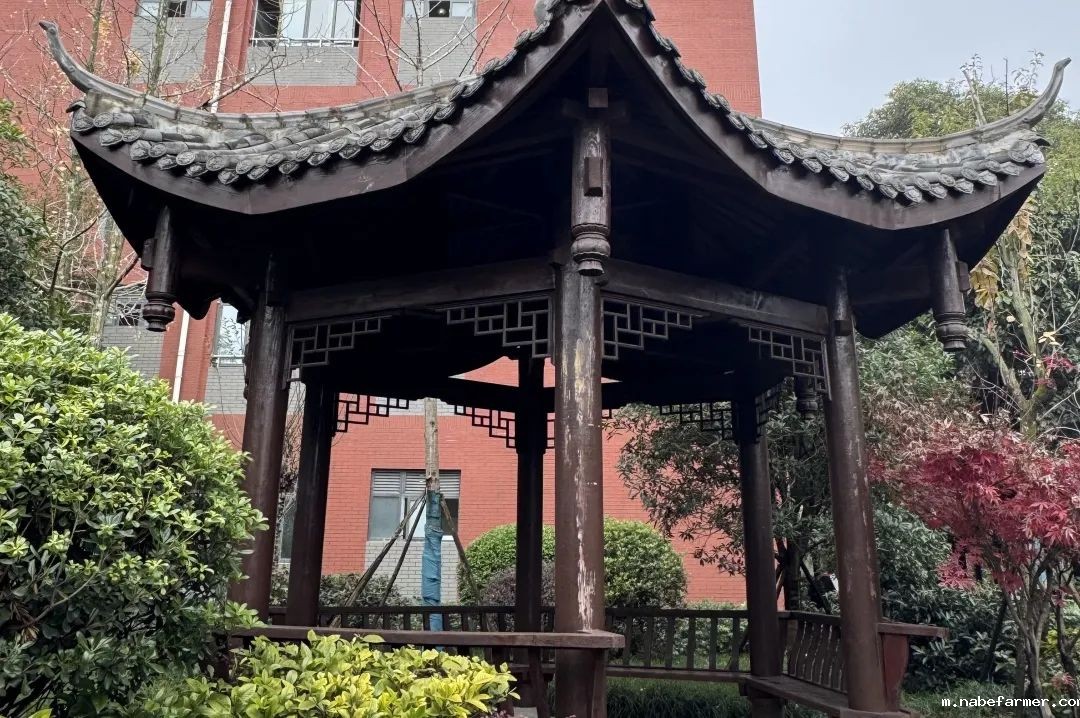 国际课程开启多元升学之路,直通世界名校!