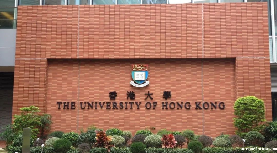 2025年高考分数线公布!竞争激烈!为何DSE赛道能让你事半功倍?