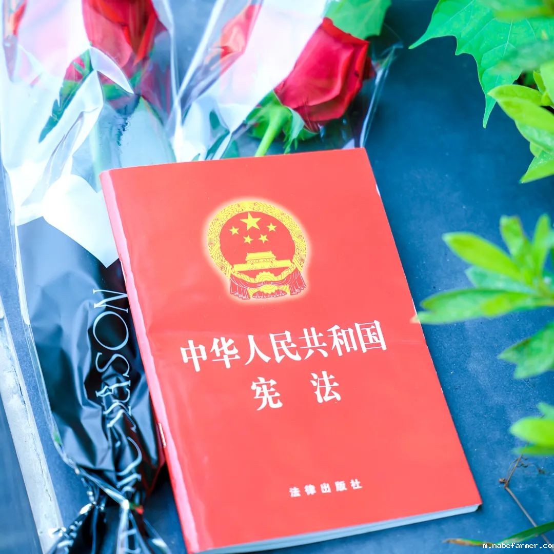 2025届成人礼暨毕业典礼丨星河路远,此去乘风