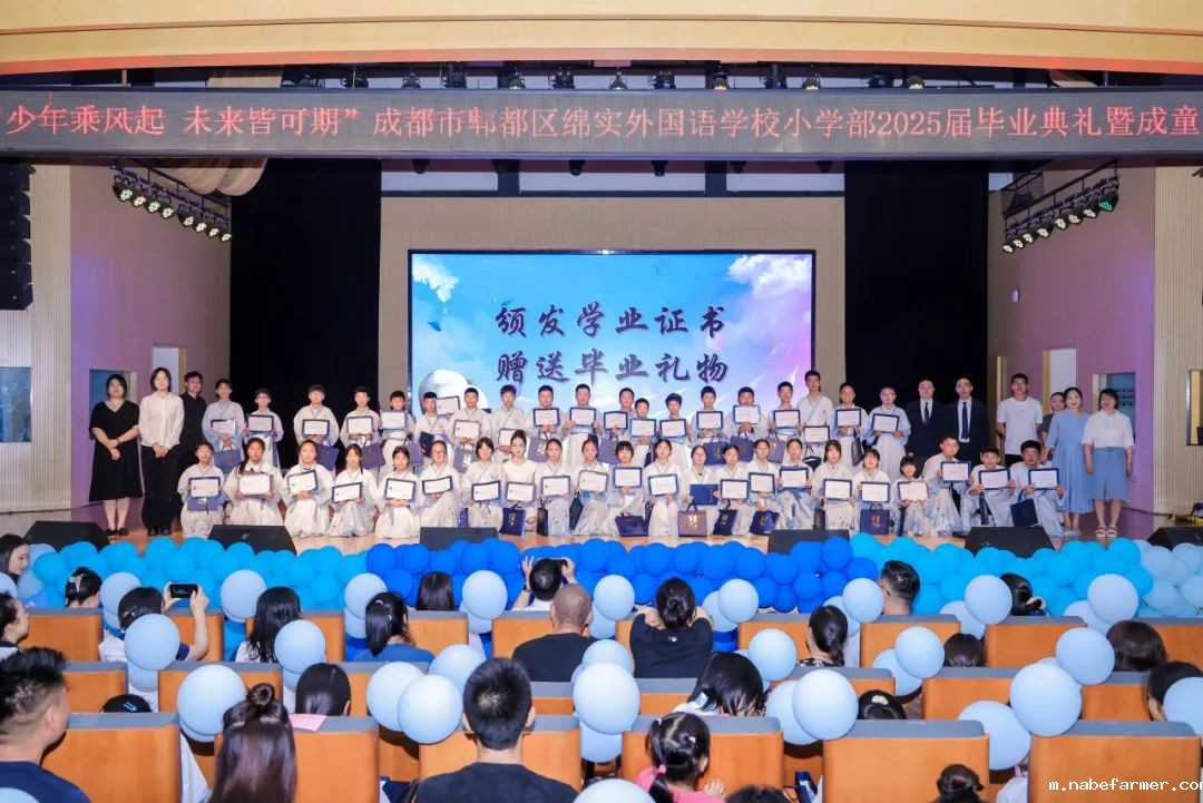 感恩献礼丨穿越时光长廊,礼成少年华章!