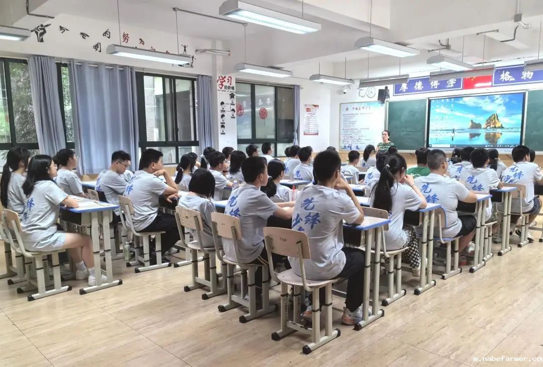 先锋少年,学能成长丨探索拓维成长,融合创新逐梦