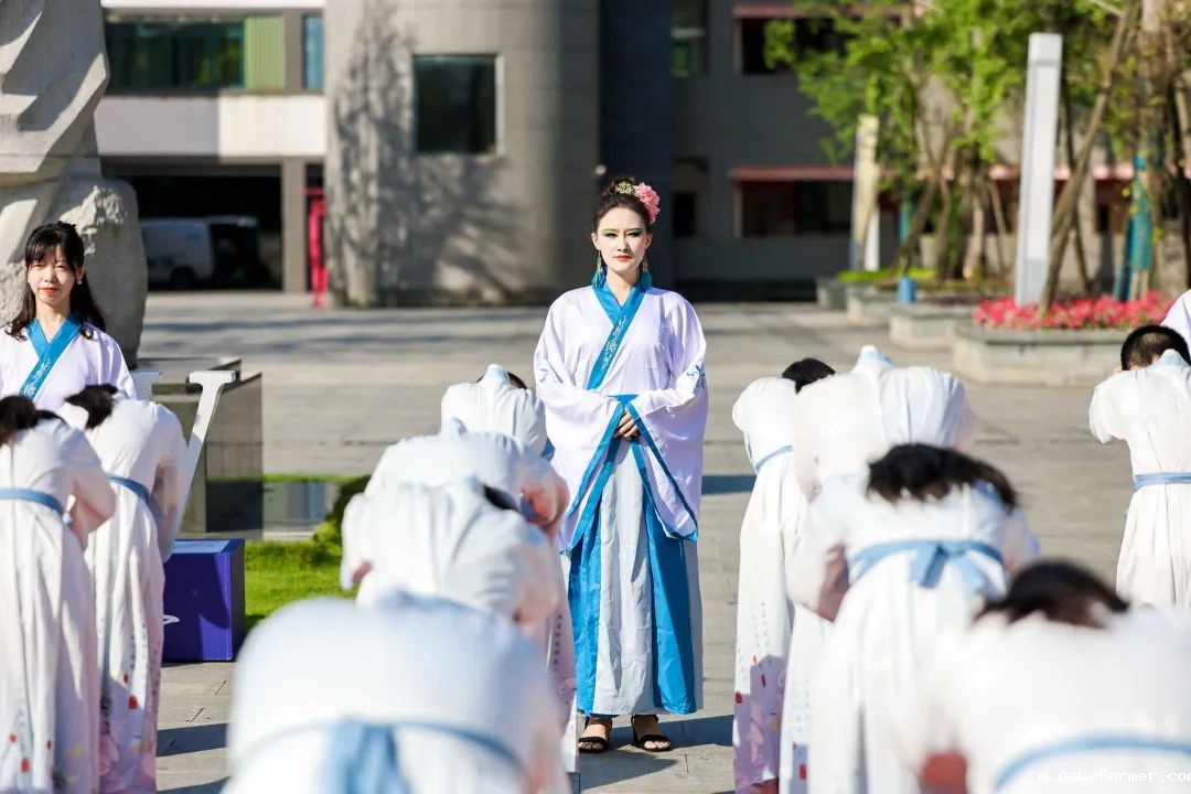 感恩献礼丨穿越时光长廊,礼成少年华章!