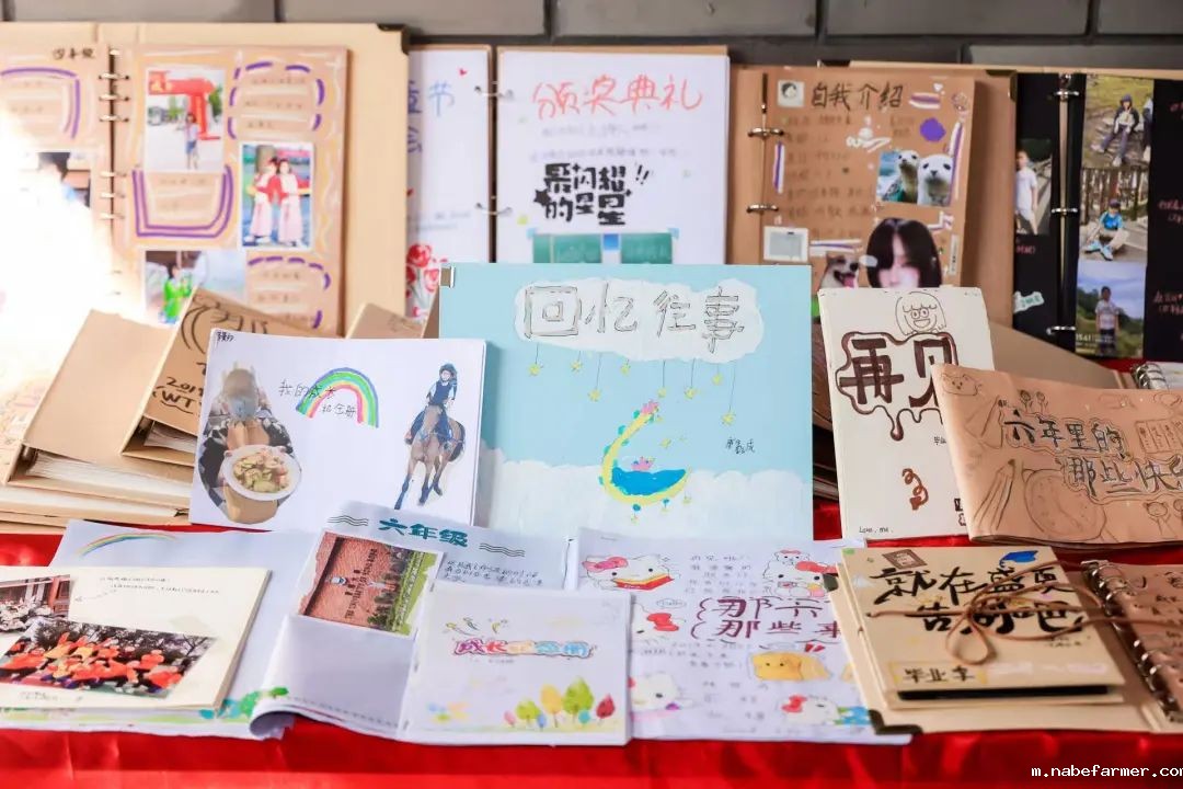 感恩献礼丨穿越时光长廊,礼成少年华章!