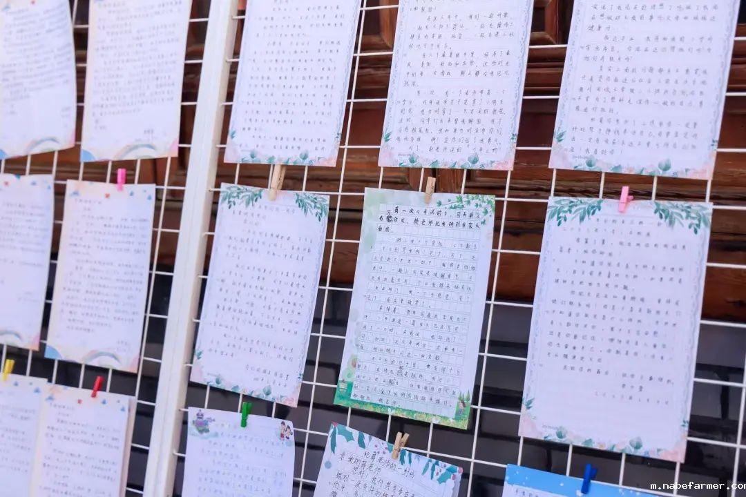 感恩献礼丨穿越时光长廊,礼成少年华章!