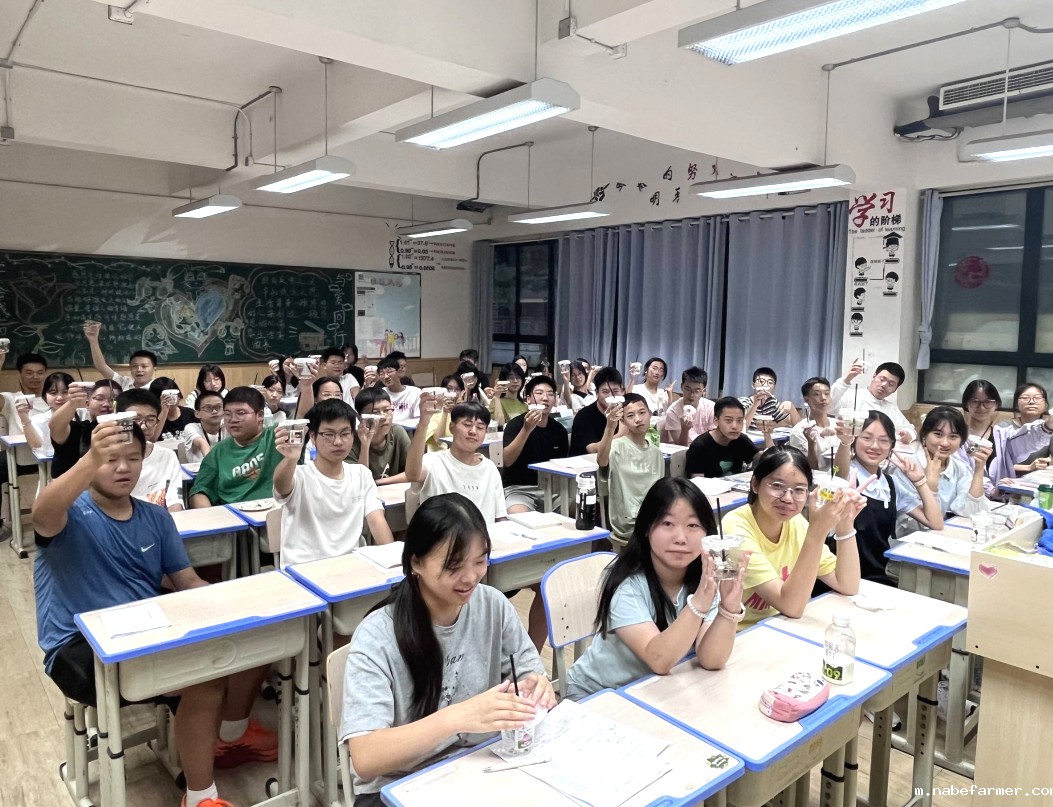 先锋少年,学能成长丨探索拓维成长,融合创新逐梦