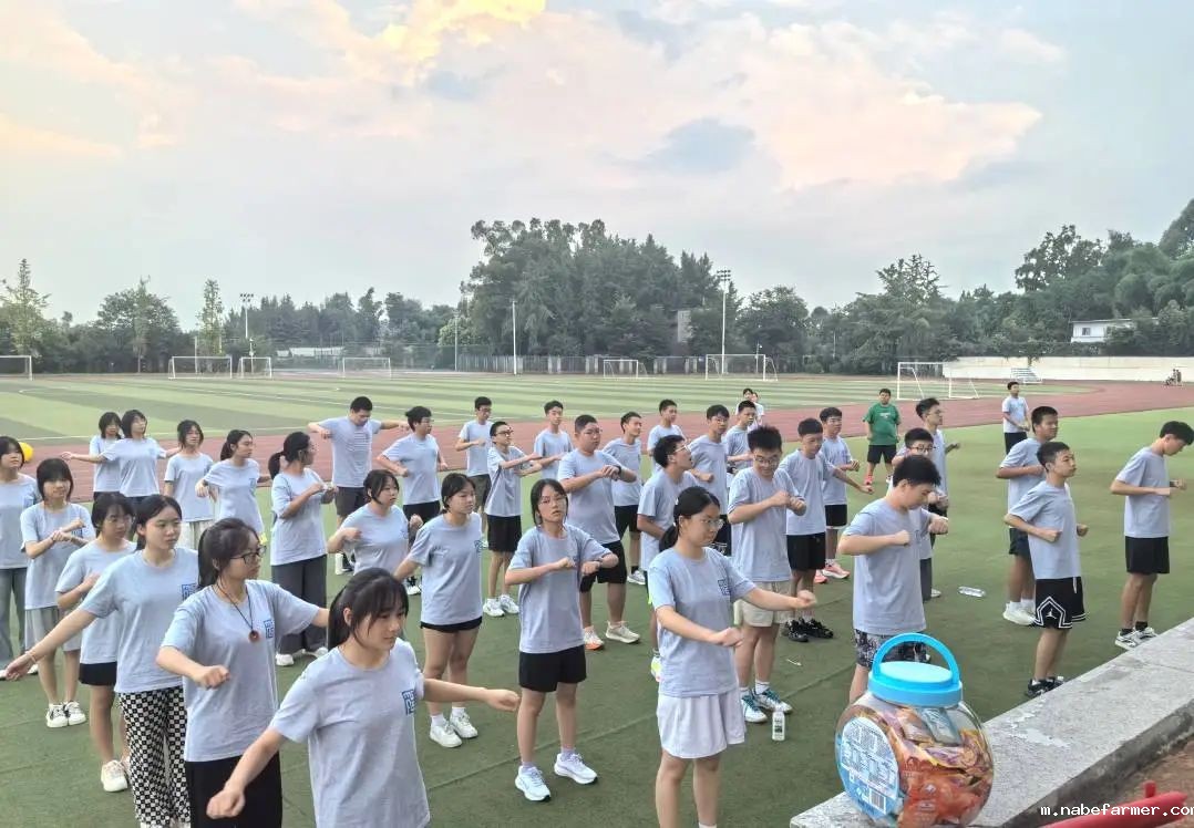 先锋少年,学能成长丨探索拓维成长,融合创新逐梦