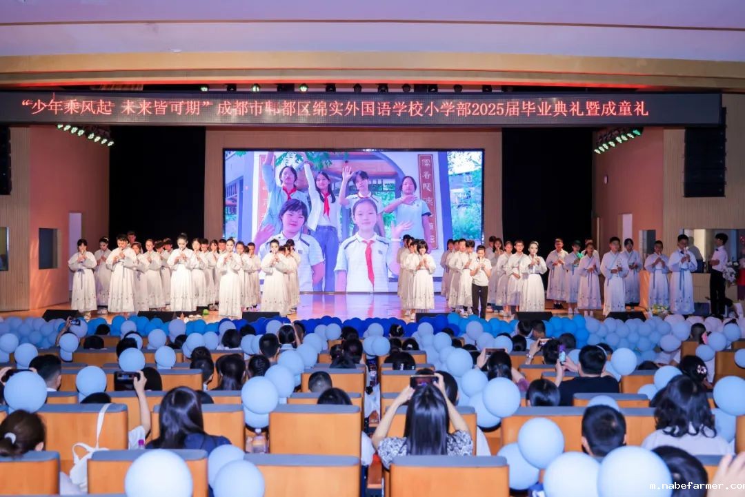 感恩献礼丨穿越时光长廊,礼成少年华章!