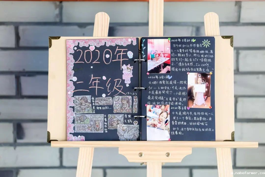 感恩献礼丨穿越时光长廊,礼成少年华章!