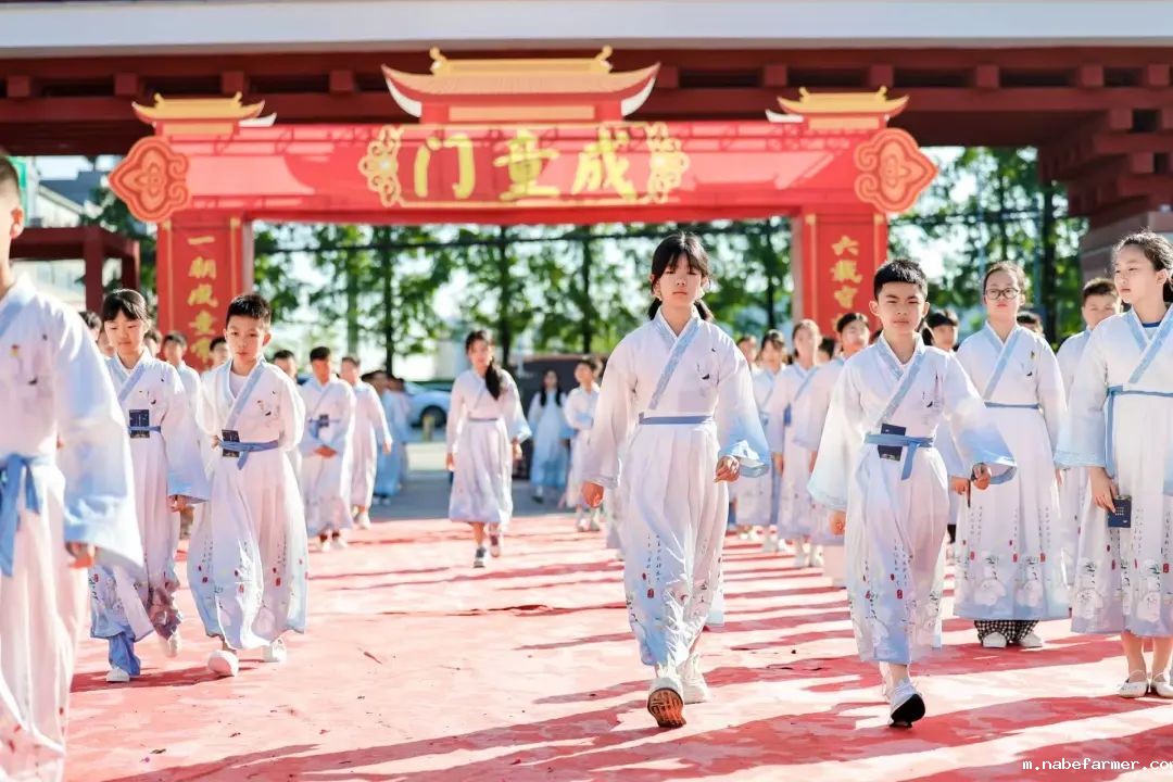 感恩献礼丨穿越时光长廊,礼成少年华章!