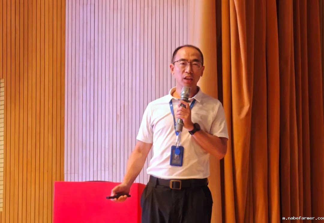 期末总结大会丨回眸幸福教育征程,共绘全人教育新章