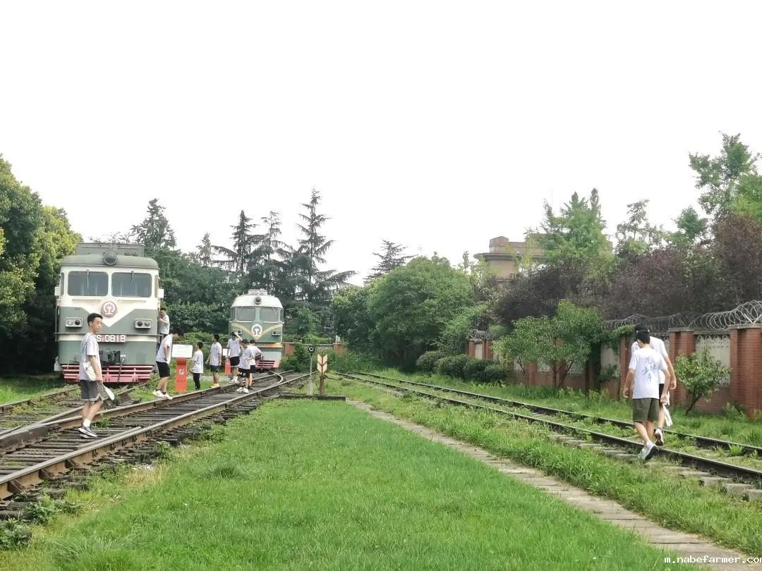 先锋少年,学能成长丨探索拓维成长,融合创新逐梦