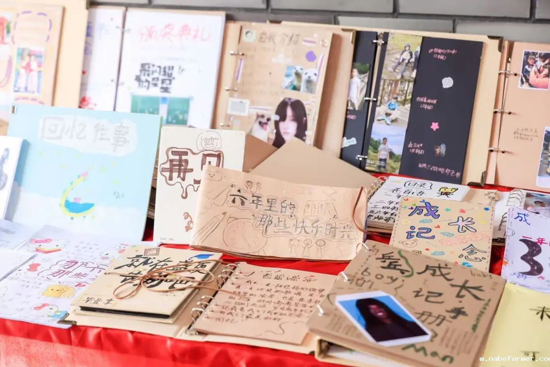 感恩献礼丨穿越时光长廊,礼成少年华章!