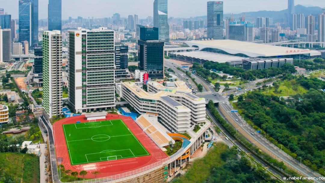 曝光!大湾区90%港前三生源,原来都扎堆在这几所学校!