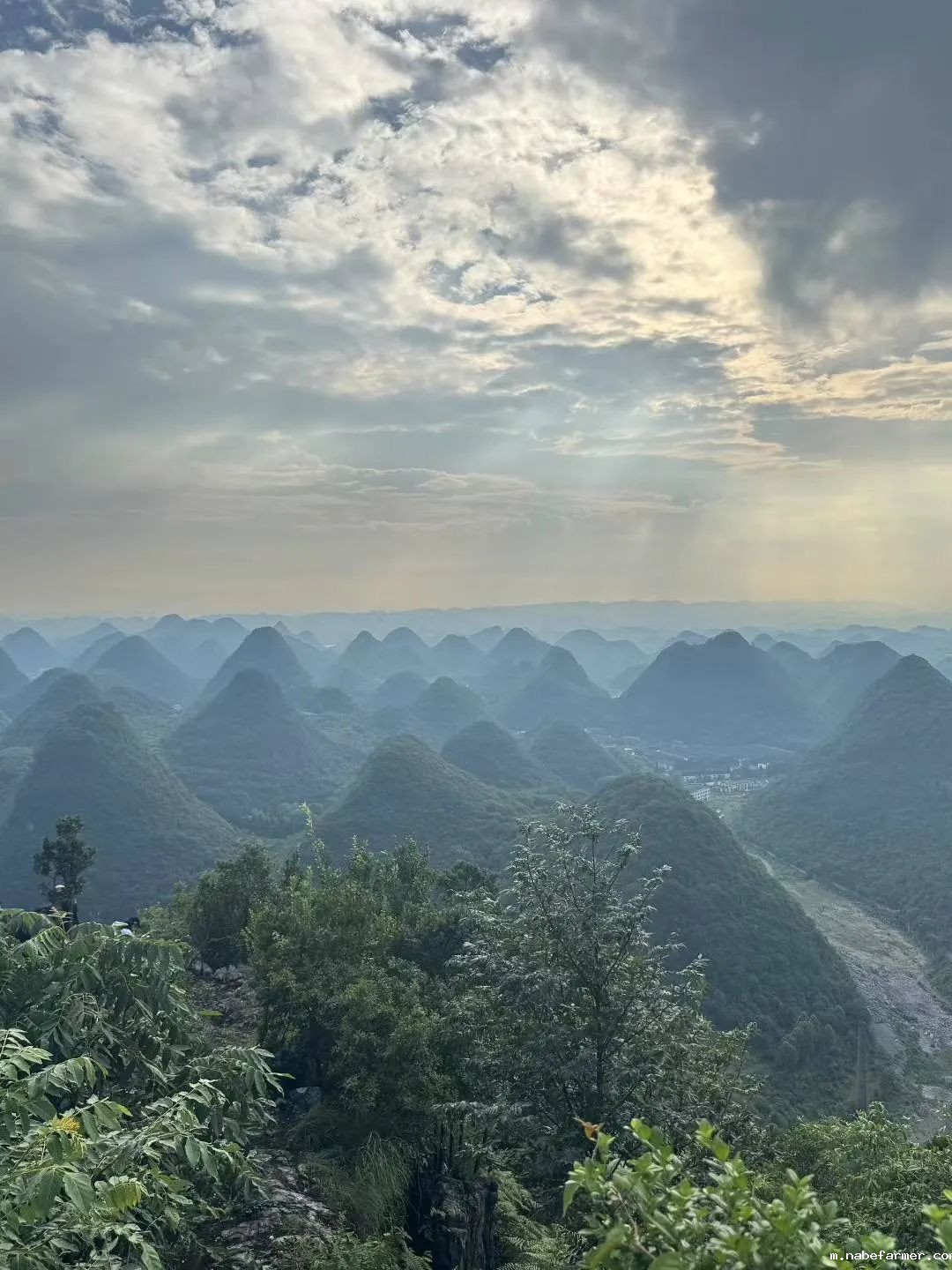 暑假治愈时刻|老师们的讲台之外