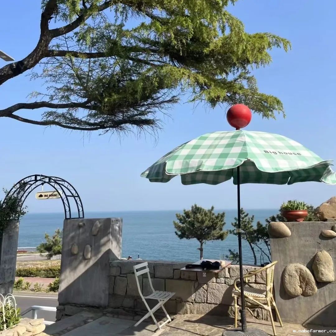 暑假治愈时刻|老师们的讲台之外