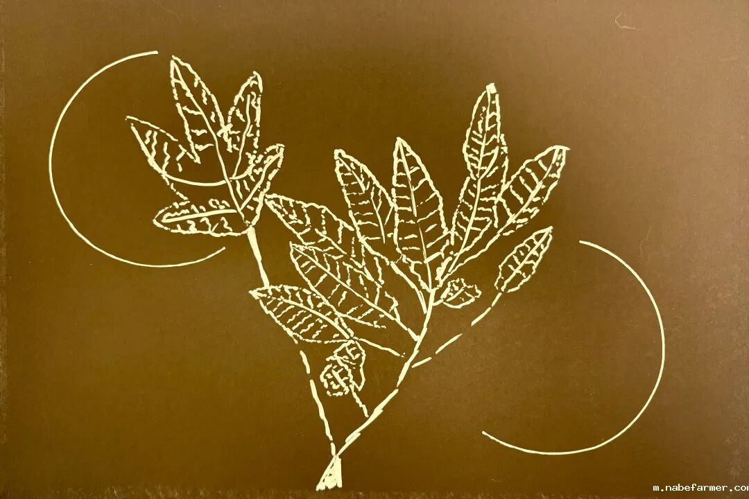 漢鼎事|在大館古樹下提筆,在間諜光影中穿越!漢鼎書院首場活動日開啓多維體驗