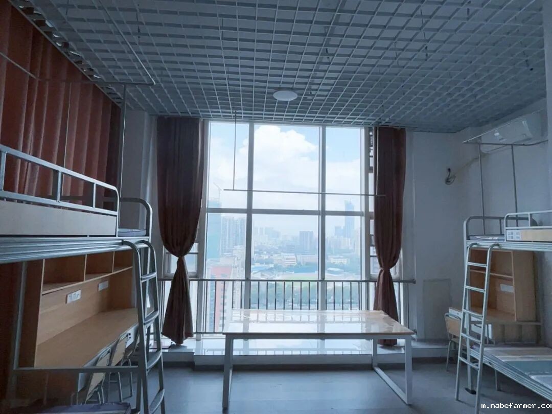 迎新季|新学期,从“焕然一新”开始