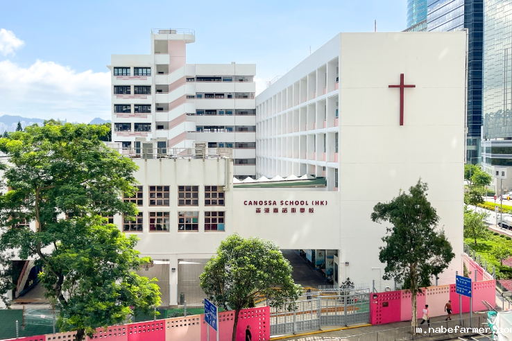 香港嘉诺撒学校怎么样？