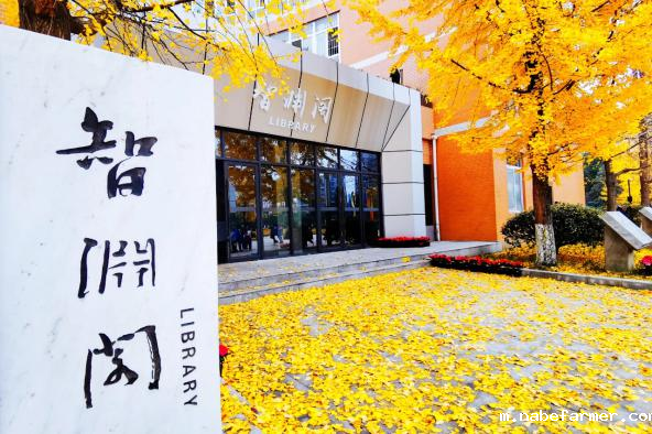 2025成都温江区的国际学校有哪些？