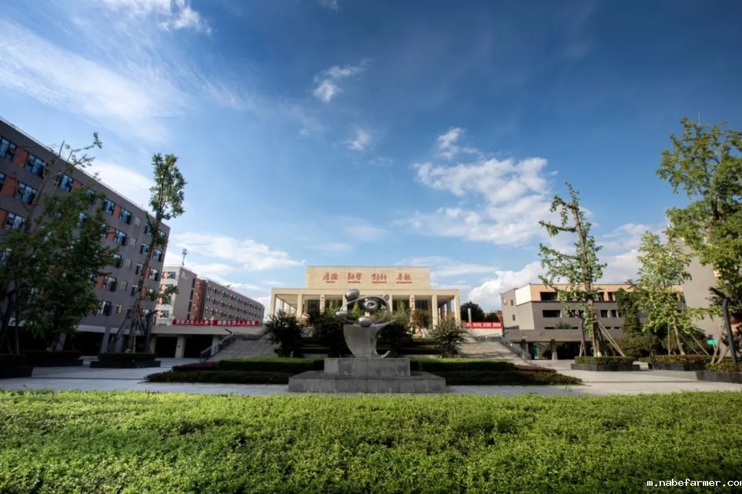 2025成都温江区的国际学校有哪些？