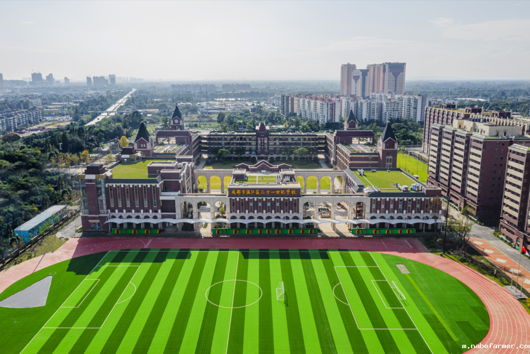 2025成都温江区的国际学校有哪些？