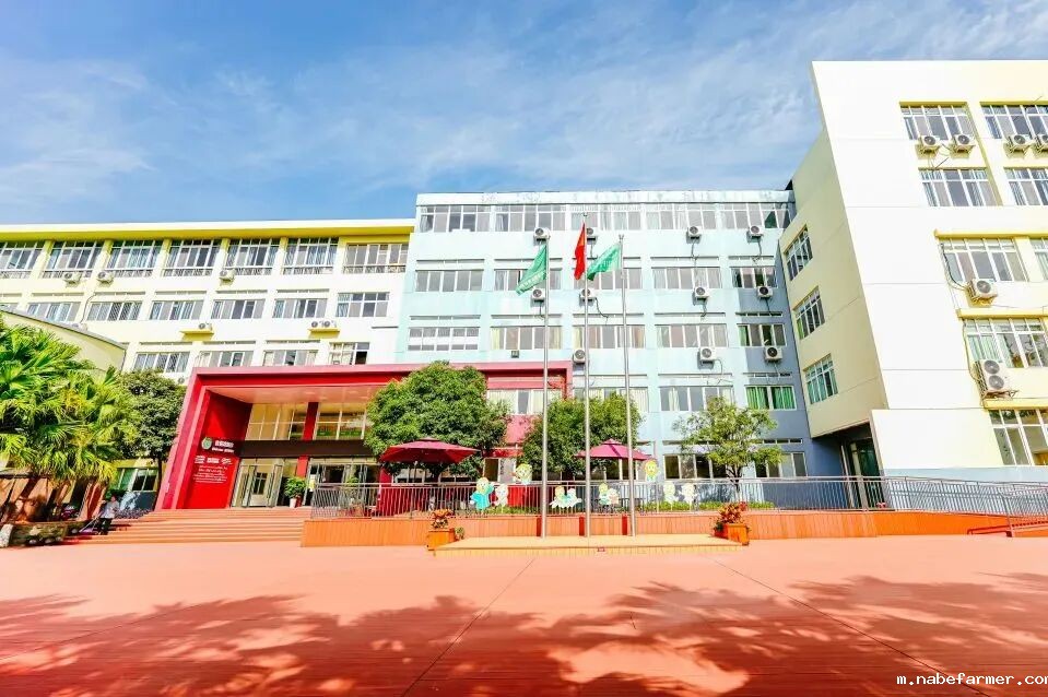 2026成都市龙泉驿区青苗学校学费信息