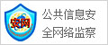公共信息安全网络监察