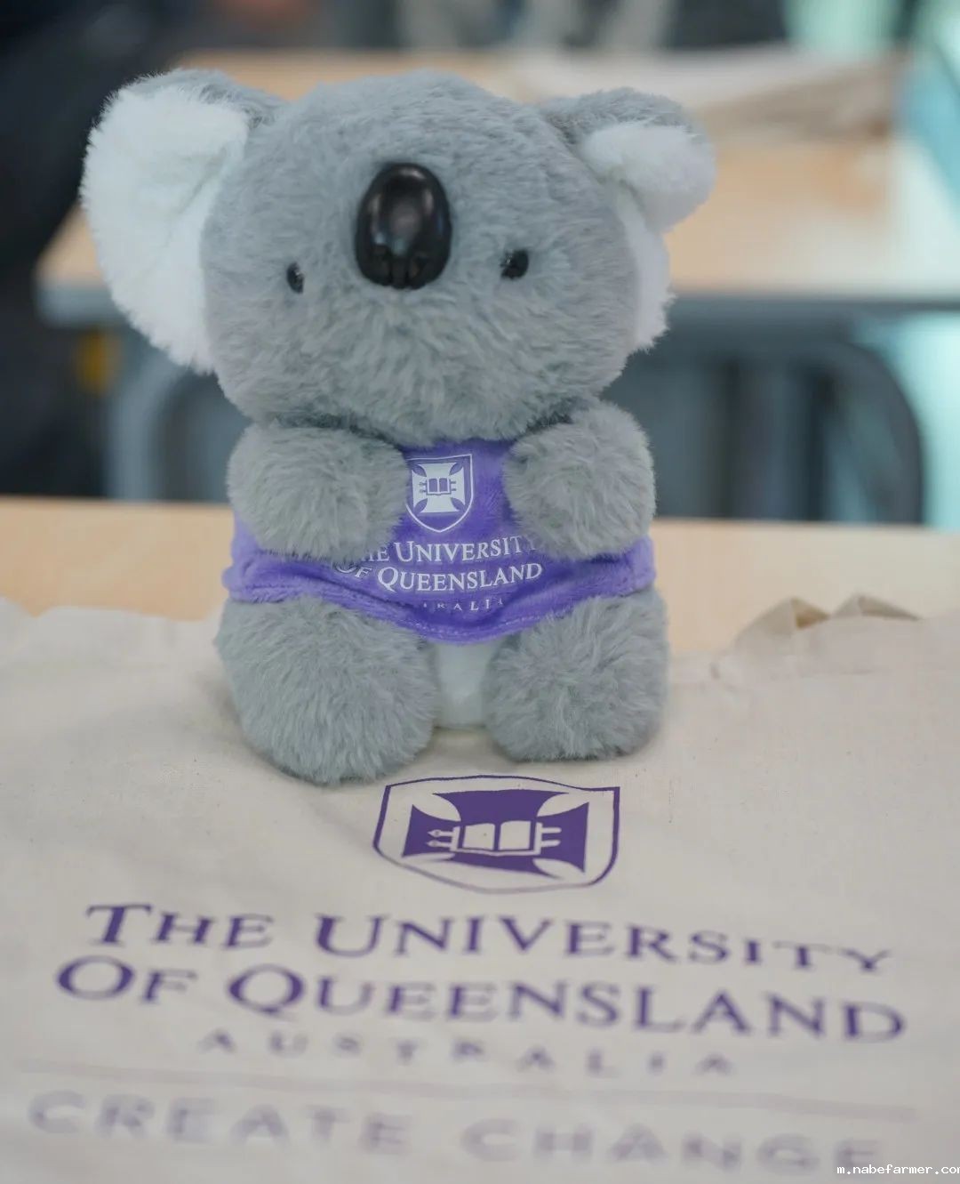 升学规划丨昆士兰大学招生官到访成都为明学校！