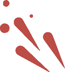 成都康礼学校新年音乐会：一场跨文化的盛宴