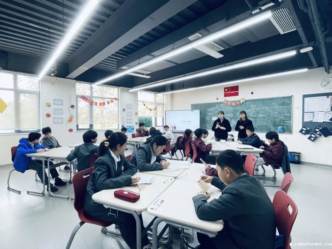 MIS Winter Camp丨全外教授课，纯正国际课程体验！MIS冬令营火热报名中……