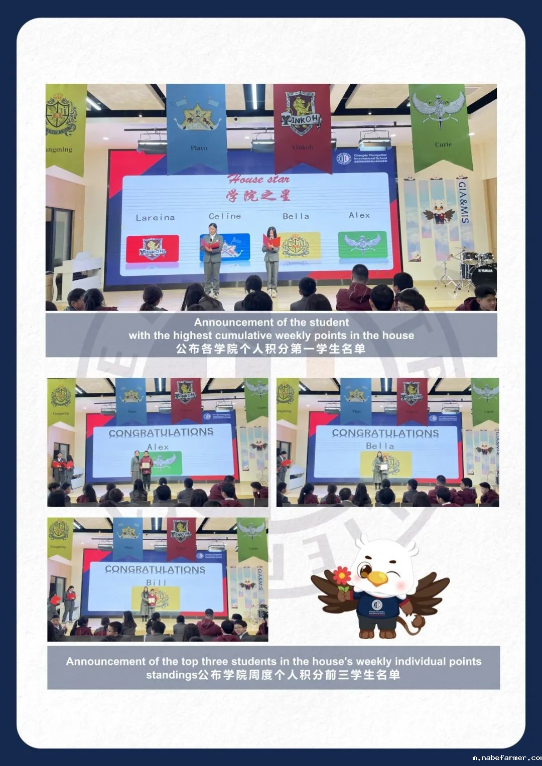 How do MISers learn and live丨3月第四周，MIS的学生如何学习和生活？