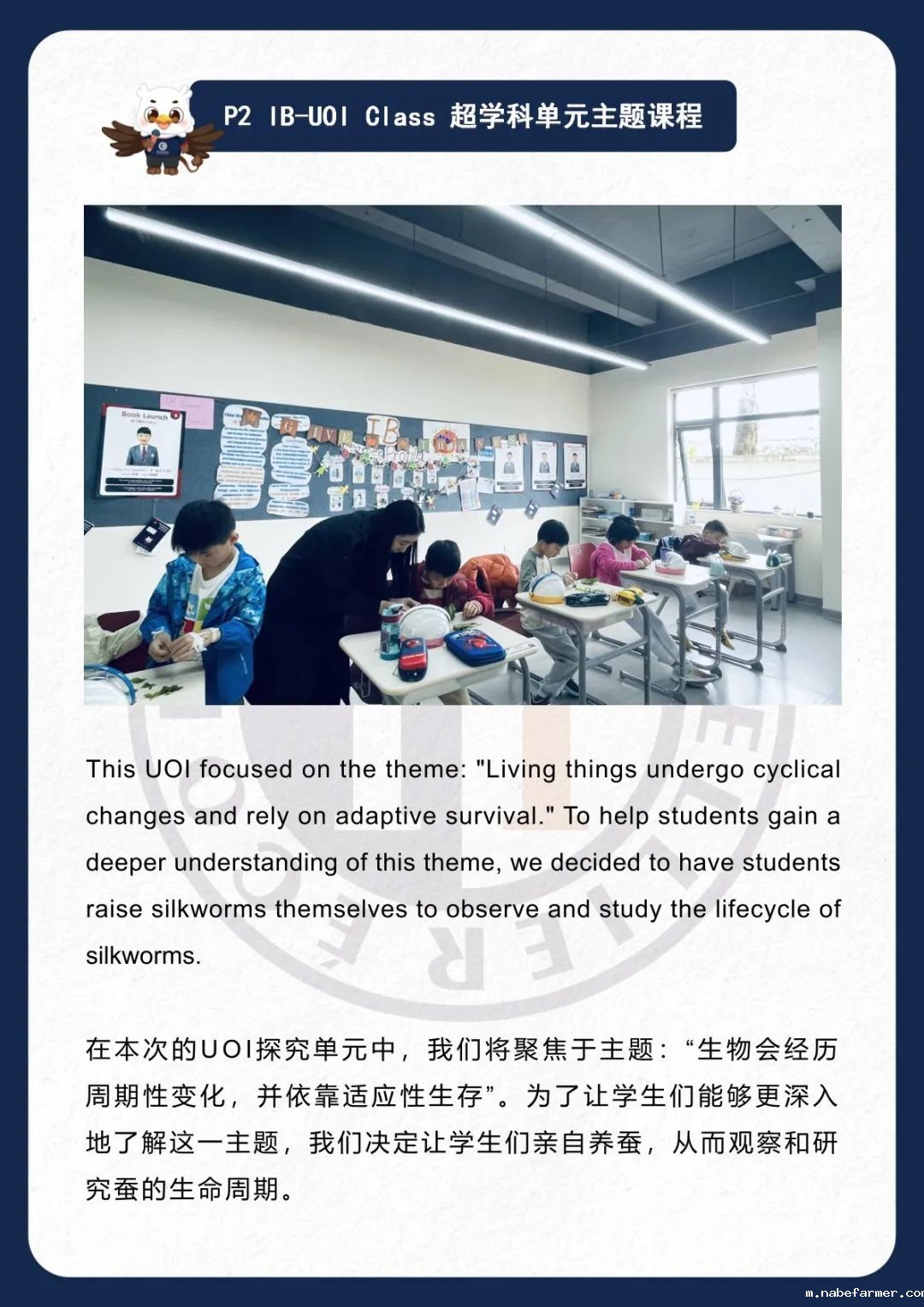 How do MISers learn and live丨3月第四周，MIS的学生如何学习和生活？