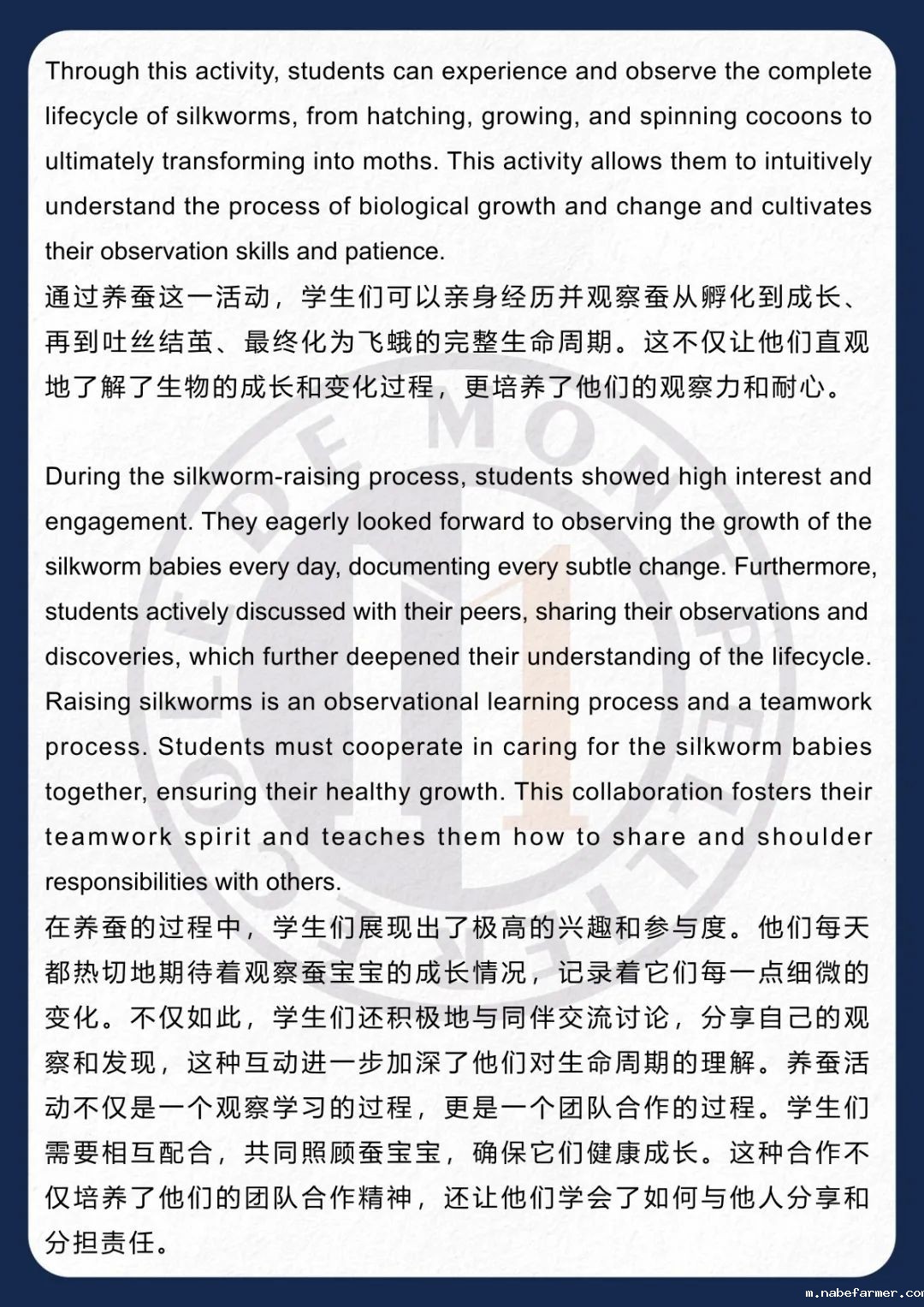 How do MISers learn and live丨3月第四周，MIS的学生如何学习和生活？