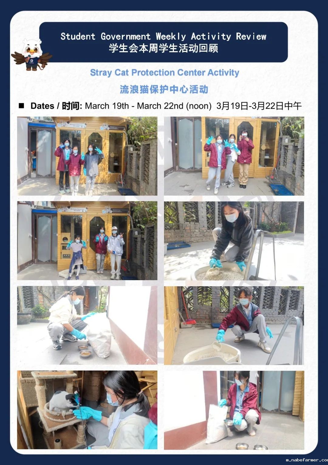 How do MISers learn and live丨3月第四周，MIS的学生如何学习和生活？