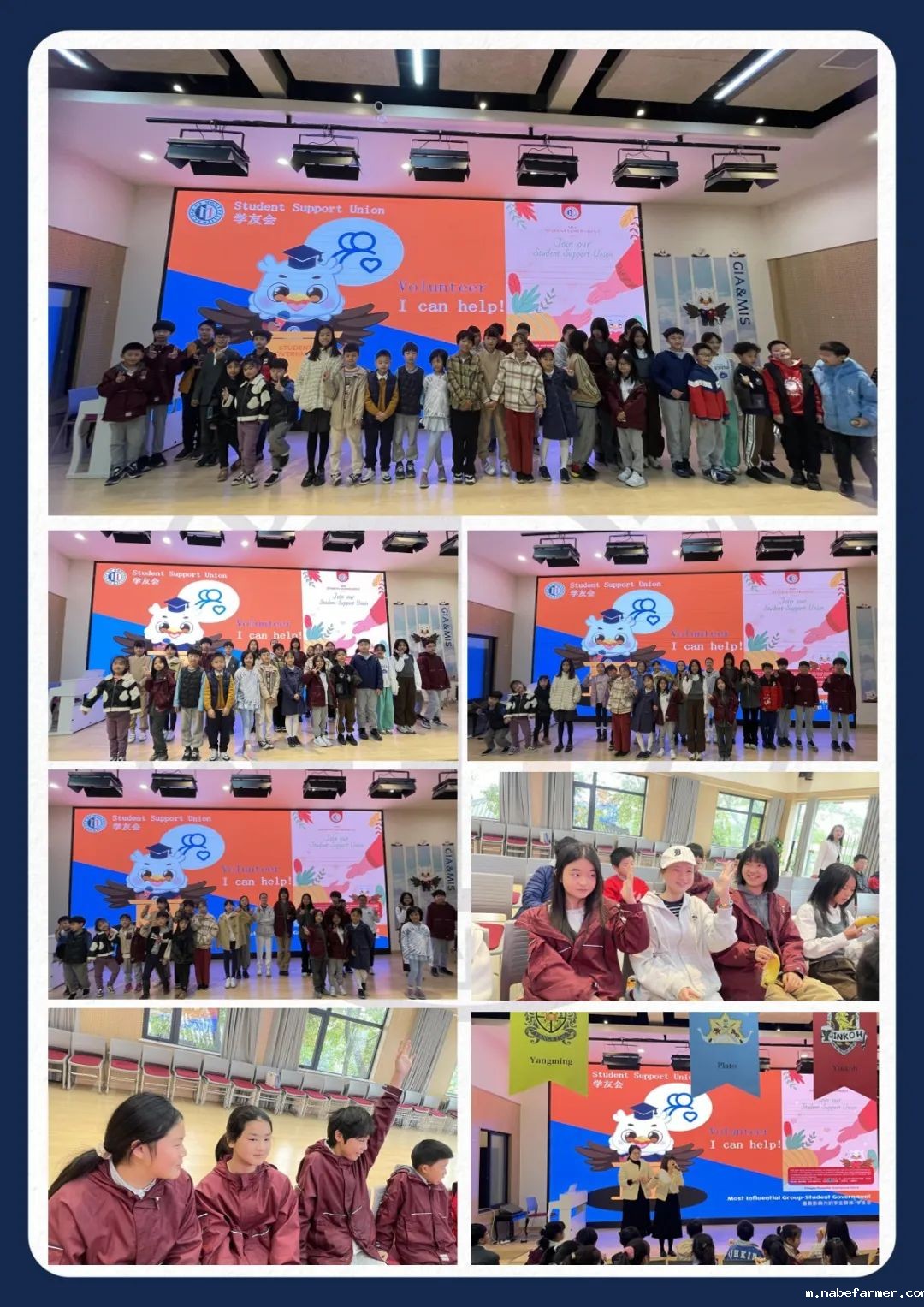 How do MISers learn and live丨3月第四周，MIS的学生如何学习和生活？