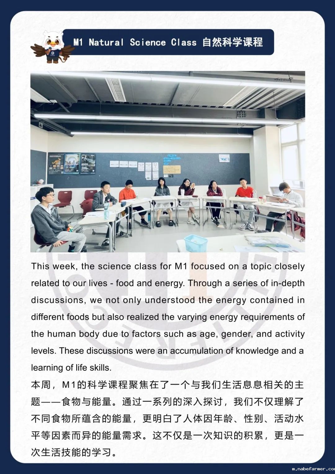 How do MISers learn and live丨3月第四周，MIS的学生如何学习和生活？