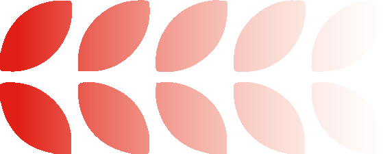 International competition achievements丨国际竞赛捷报频传！MIS展现卓越学术实力