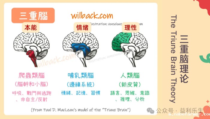 漢鼎事 | 工作坊圓滿落幕 家長們收穫滿滿