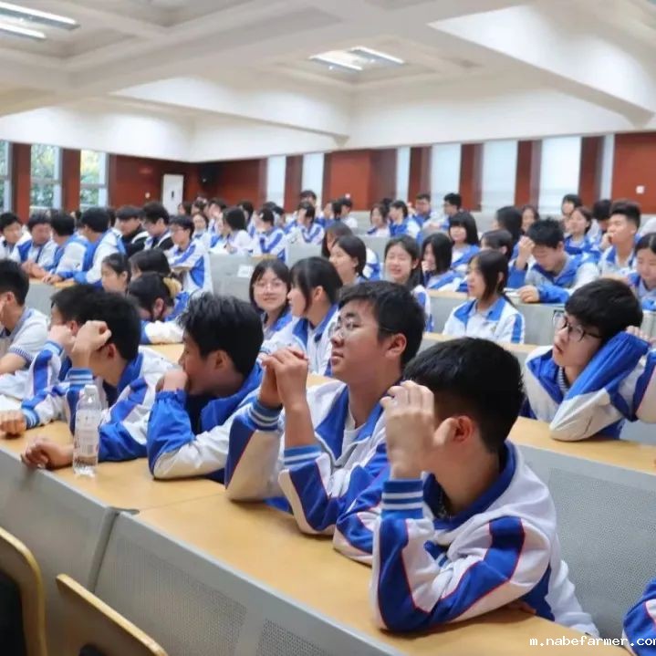 学期总结 | 国际部大事记一览