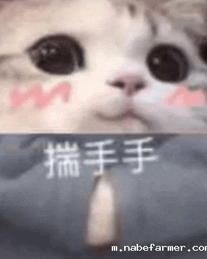 学期总结 | 国际部大事记一览