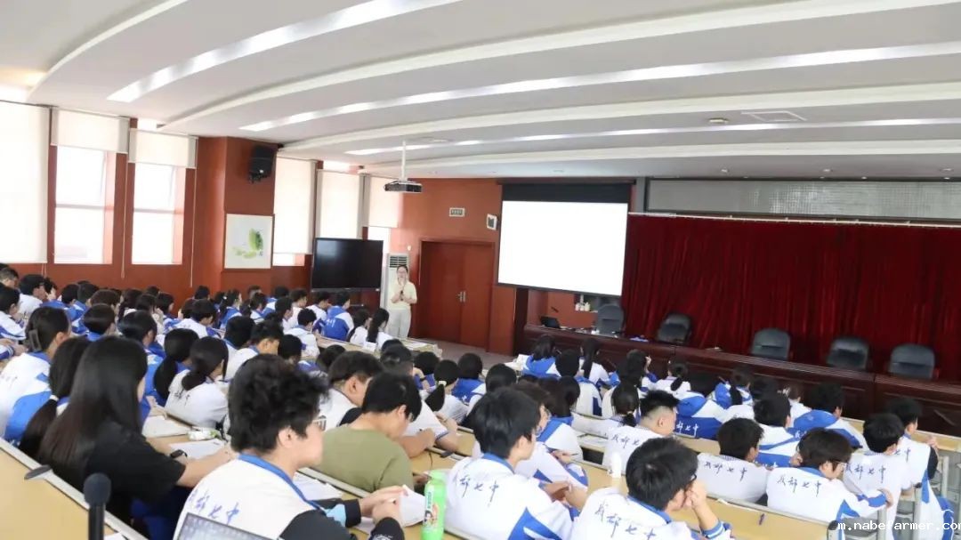 学期总结 | 国际部大事记一览