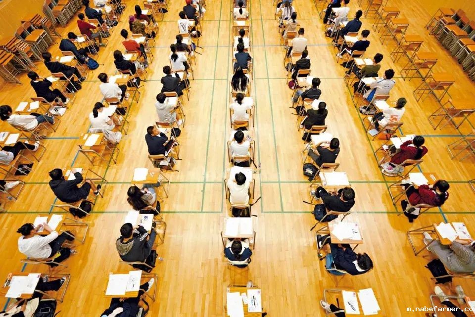 再添一国！DSE成绩获西班牙教育部认可！